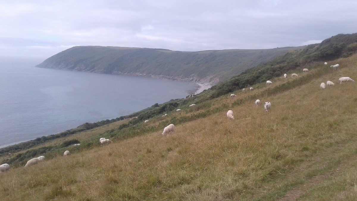 BH_Adventure's tweet photo. Day 21 Pentewan sands to Portscatho tough mega day of walking through Cornwall's rolling coast- think we went into walking trances at times! https://t.co/2mqRmSkrcs