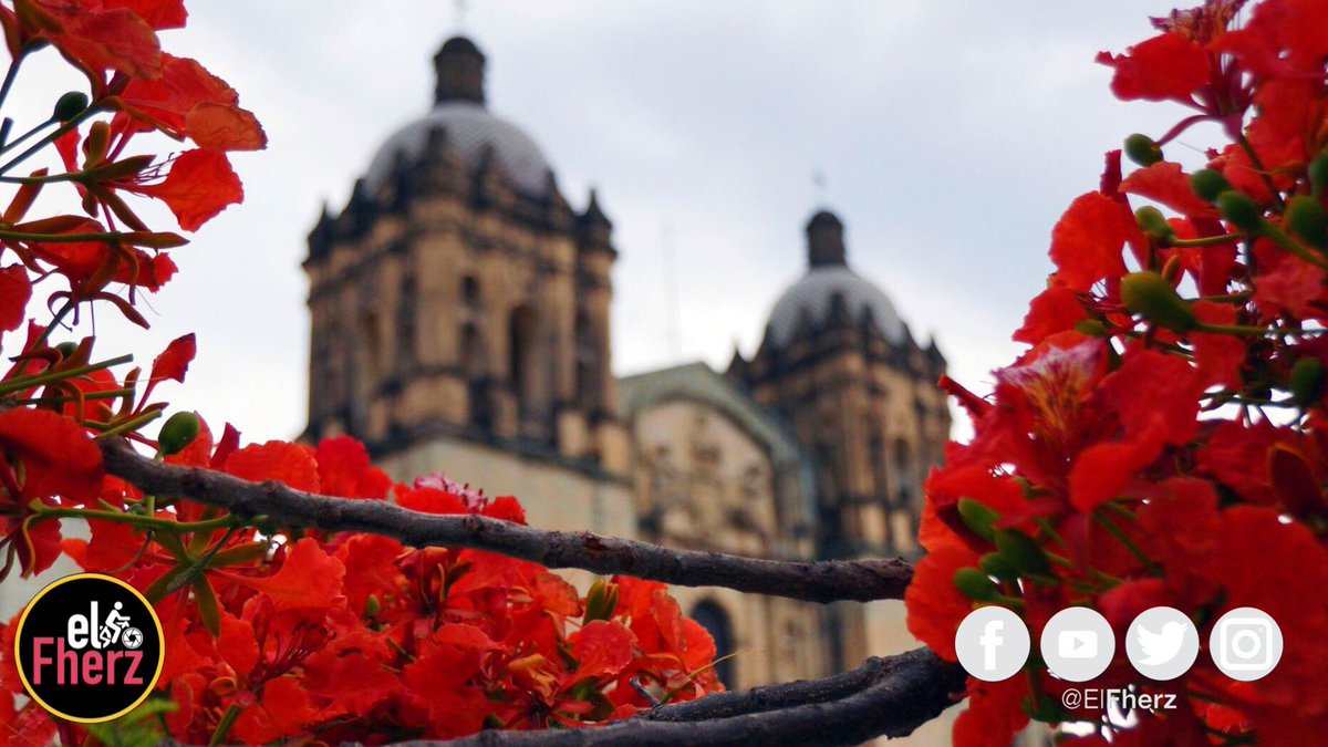 elfherz's tweet photo. #ConMiNikonYo📸 inicio mi #VeranoDeLocuraADO tomando fotos de todo @SECTUR_mx para guardar mis recuerdos en píxeles ¿Y tú? https://t.co/CHkpo4rg5w