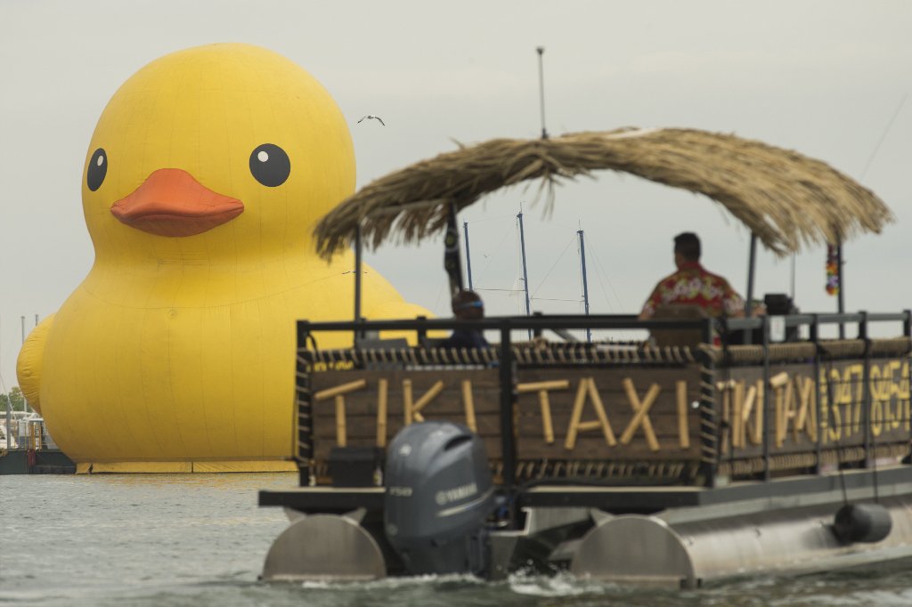 Giant Rubber Duck For Canada 150 In Toronto What The Duck Flare