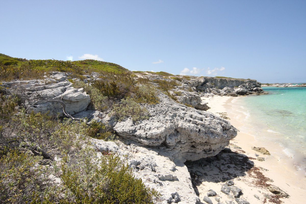 eastbayresort's tweet image. #privacy is the new #luxury. Stay at East Bay in #turksandcaicos to escape crowds &amp;amp; often have pristine #beaches to yourself. Come relax!