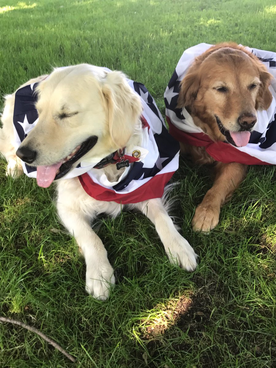 LindsayGolz's tweet photo. Happy 4th of July πΊπΈπΎ #libbysadventures #golden https://t.co/wWyxeiXGCP
