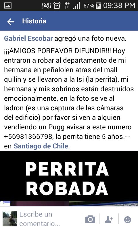 carolinarevalo's tweet photo. favorRT #PerritaRobada desde su hogar en Peñalolén hoy martes 4/07, se llama Isi, tiene 5años. Contacto +56981366798
@TonkaTP @ZitaTarot https://t.co/85YvN3mRcI