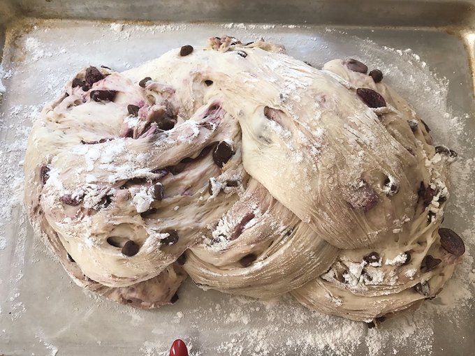 Ready to bake, finger for scale 😱 https://t.co/wZIzVxCwyp<a href="/tag/adoptdontshop"class="tags"><span>#adoptdontshop</span></a>