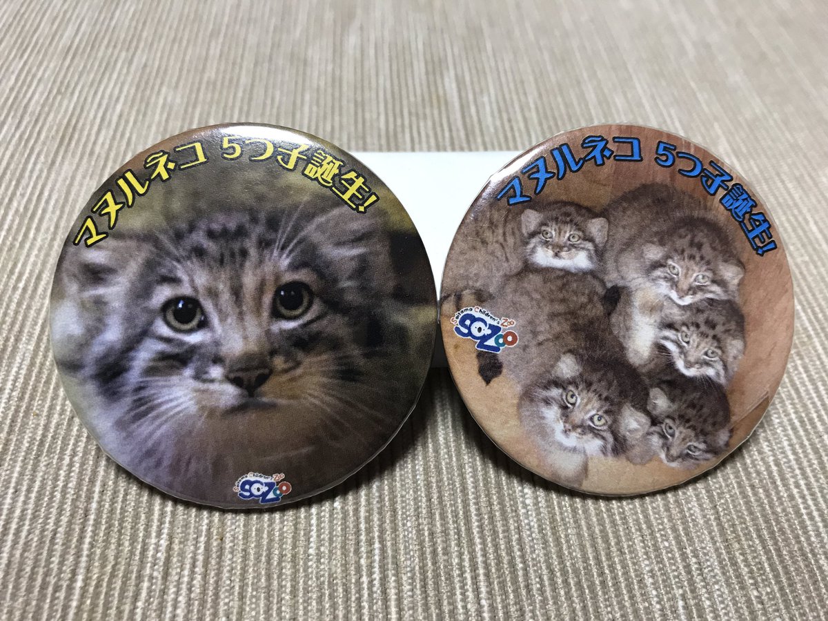 ニャロメ Ar Twitter 先日イベントで貰った缶バッチ マヌルネコ グッズ出ない んですか 是非欲しい と職員さんに結構聞いてるけど 需要がそれ程ないと思われてて中々難しいらしく なのでこの缶バッチを試しに売店に置いてみて欲しい 超絶需要ある事が証明出来