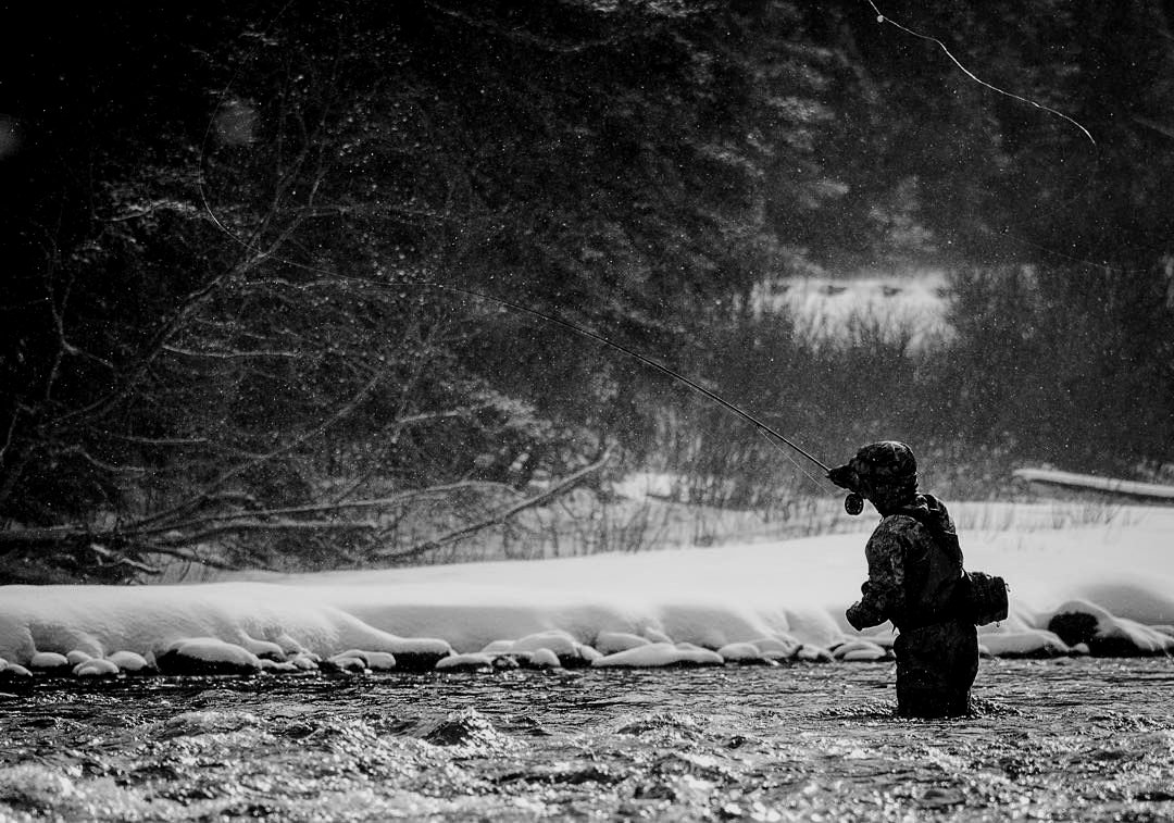 arciris_fish's tweet photo. Fishing till the sun has gone all the way down🔥🔥🔥                                             @shane_rickert https://t.co/7L3oYggA8W