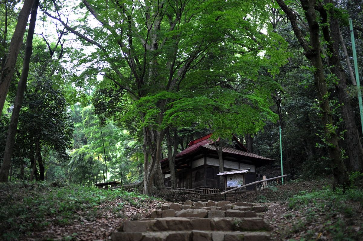4LDK Secondhand Apartment @ Hachioji-shi, Tokyo for Sale!
For more information  please click the link below:
buff.ly/2sGy6eW