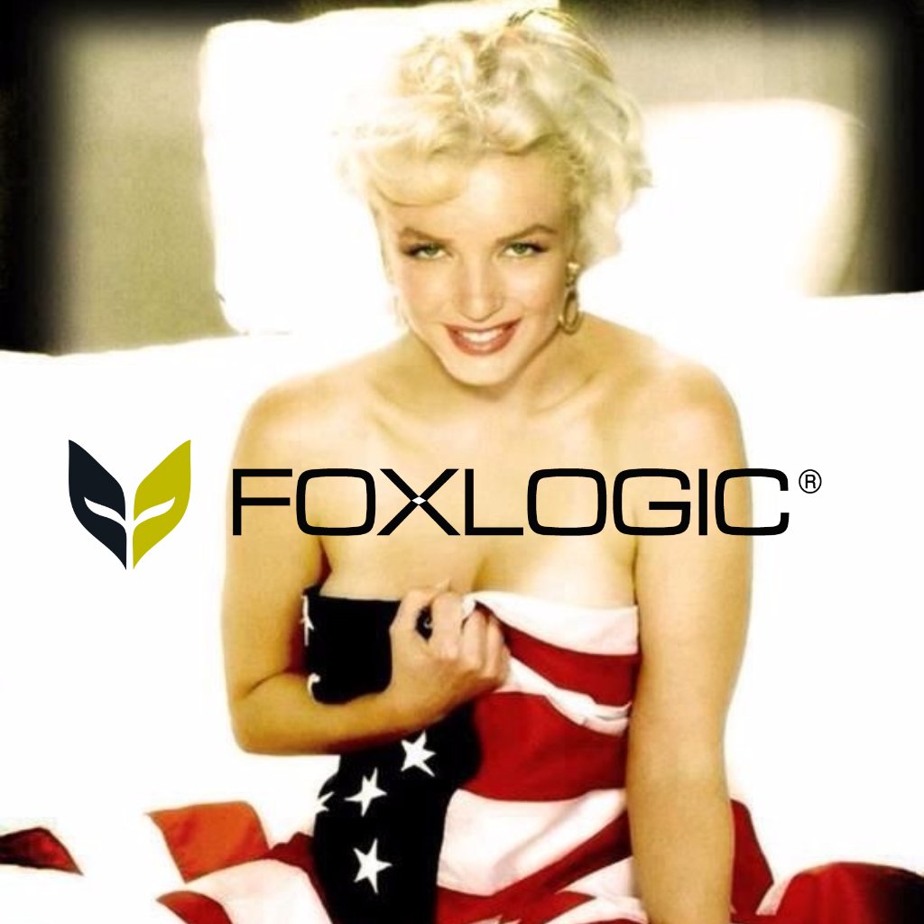 FOXLOGIC_LA's tweet photo. Happy Fourth! #americanmade #madeinusa #Julyfourth #foxlogic #smartlikeafox #patriotic #usa #american #california #hollywood #marylinmonroe https://t.co/RH9KAmIEZ4