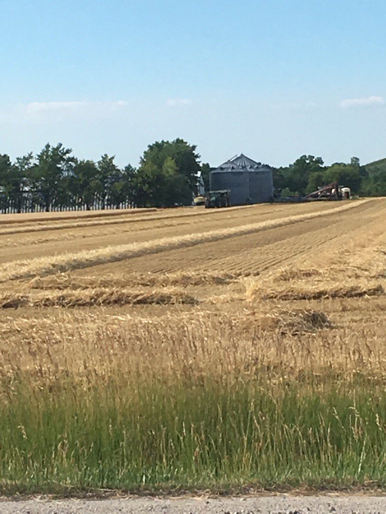 McLean_Scott86's tweet photo. #Wheat #Hvst17 has started in Essex https://t.co/xPvUB4sJBZ
