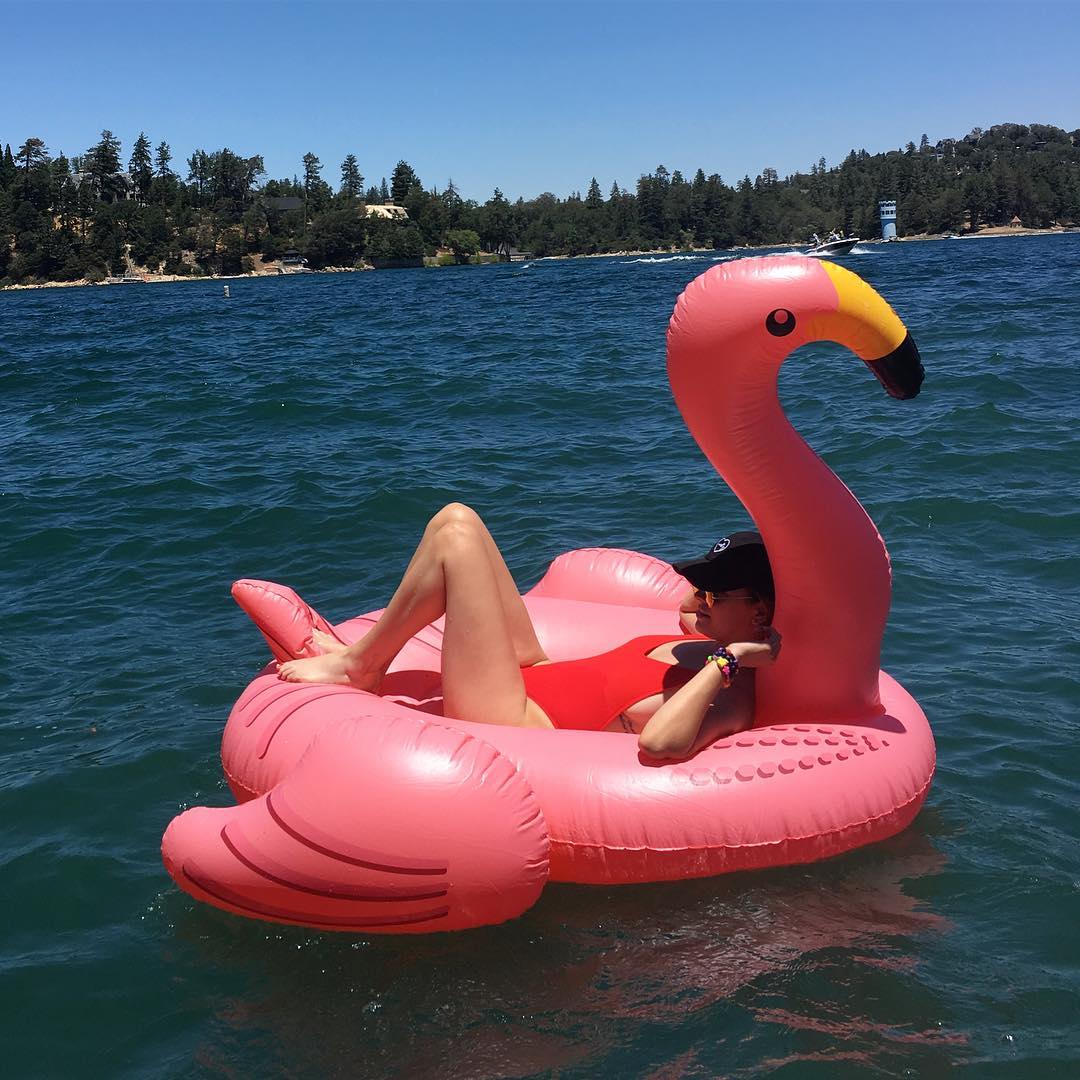 abigailchilton's tweet photo. happy 4th from me and my flamingo https://t.co/wAun54cDDh