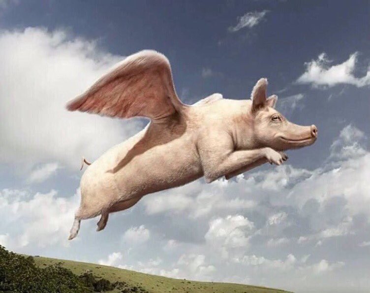 neg_dave's tweet photo. First Gibson pitches into the 7th inning, and Buxton gets 3 hits including a home run...yes sir, they do fly. #MNTwins https://t.co/zjyhUoEgmL