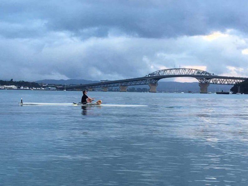TGSRowingClub's tweet photo. Another stunning morning at @TGSRowingClub 🚣🏼🦁🚣🏼Fancy joining us? https://t.co/SvbTVbXBl7 #sunrise #rowing #waitemataharbour #thisiswhywerow https://t.co/Zjj4fnzrux
