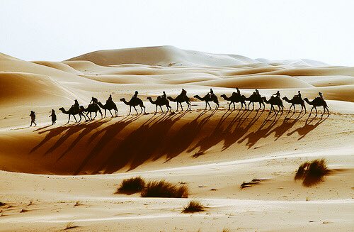 DD7S3anUMAAJcCC.jpg:large