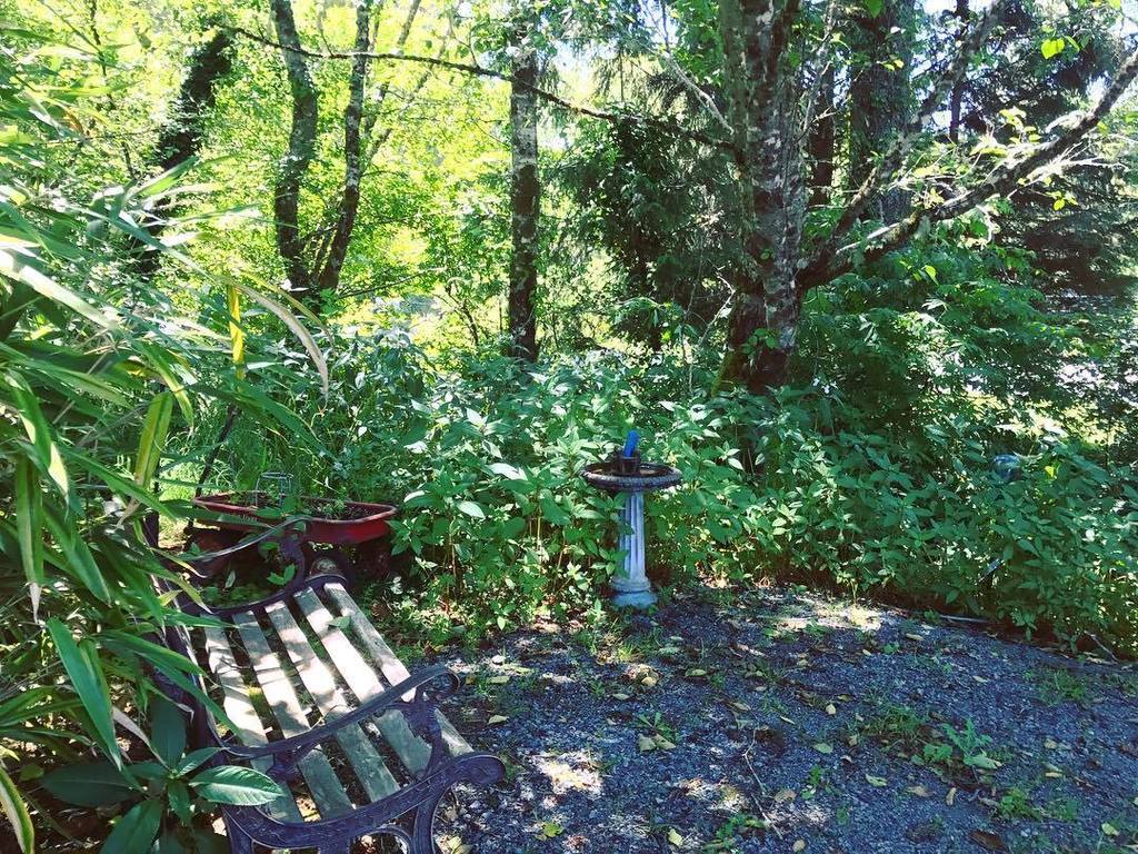 nullprof's tweet photo. A break in the grove, a disused water fountain https://t.co/s5KCl1v8wB https://t.co/0vGksgL7r8
