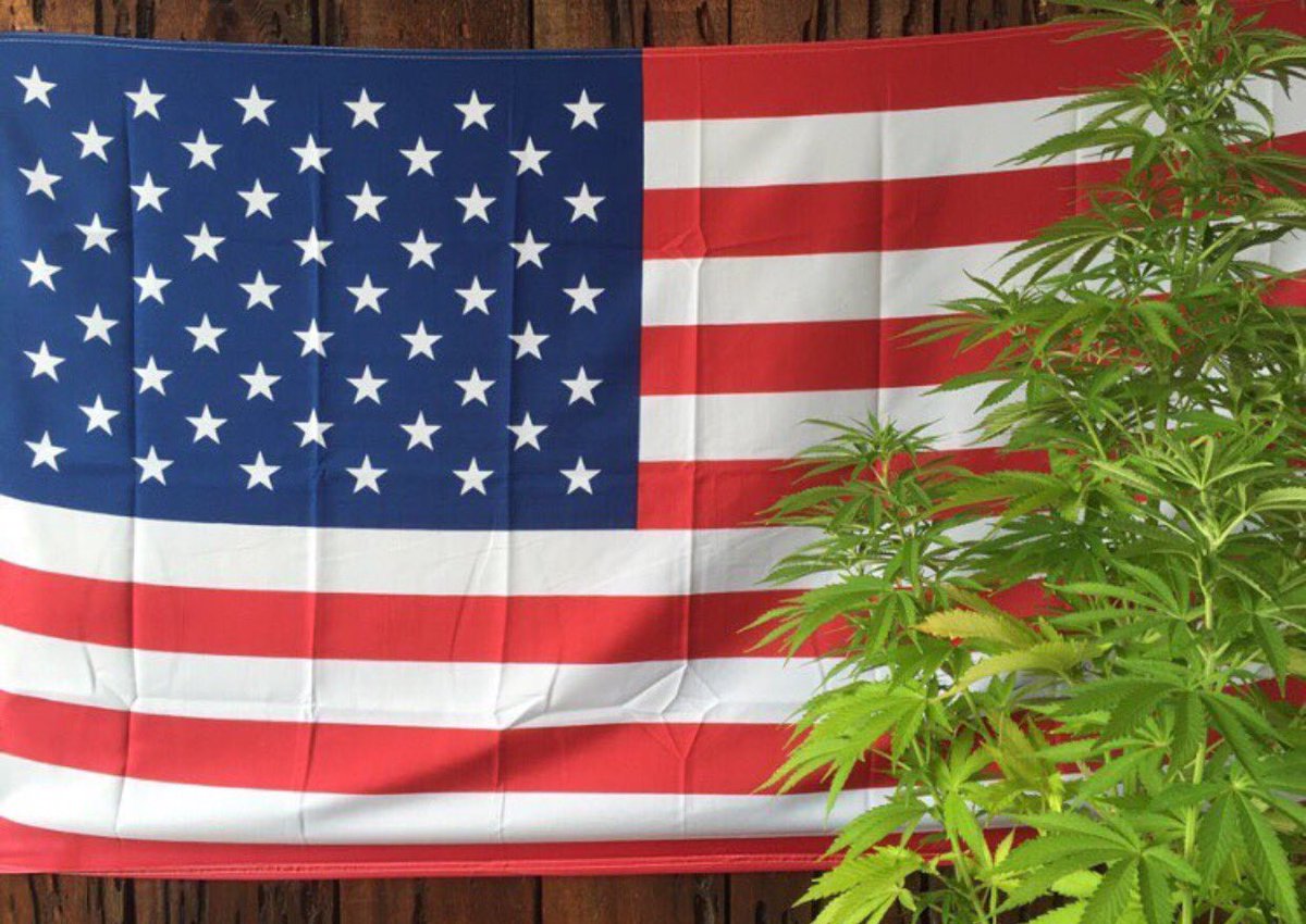 iChiefSupply's tweet photo. Happy Independence Day. Thank you to all the men and women who played their part. https://t.co/WQO4sbdZdS