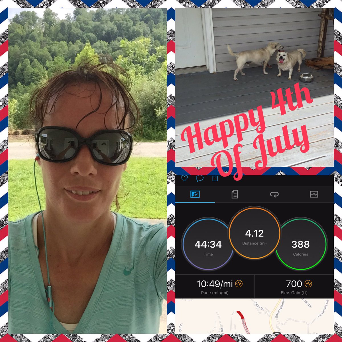 melindafugate's tweet photo. Ben & Jerry joined me today on my run🐶 #simplemarathontraining #charitymiles #TeamInTraining #lls #Columbus2017 #easyrun https://t.co/rinYebvoCg
