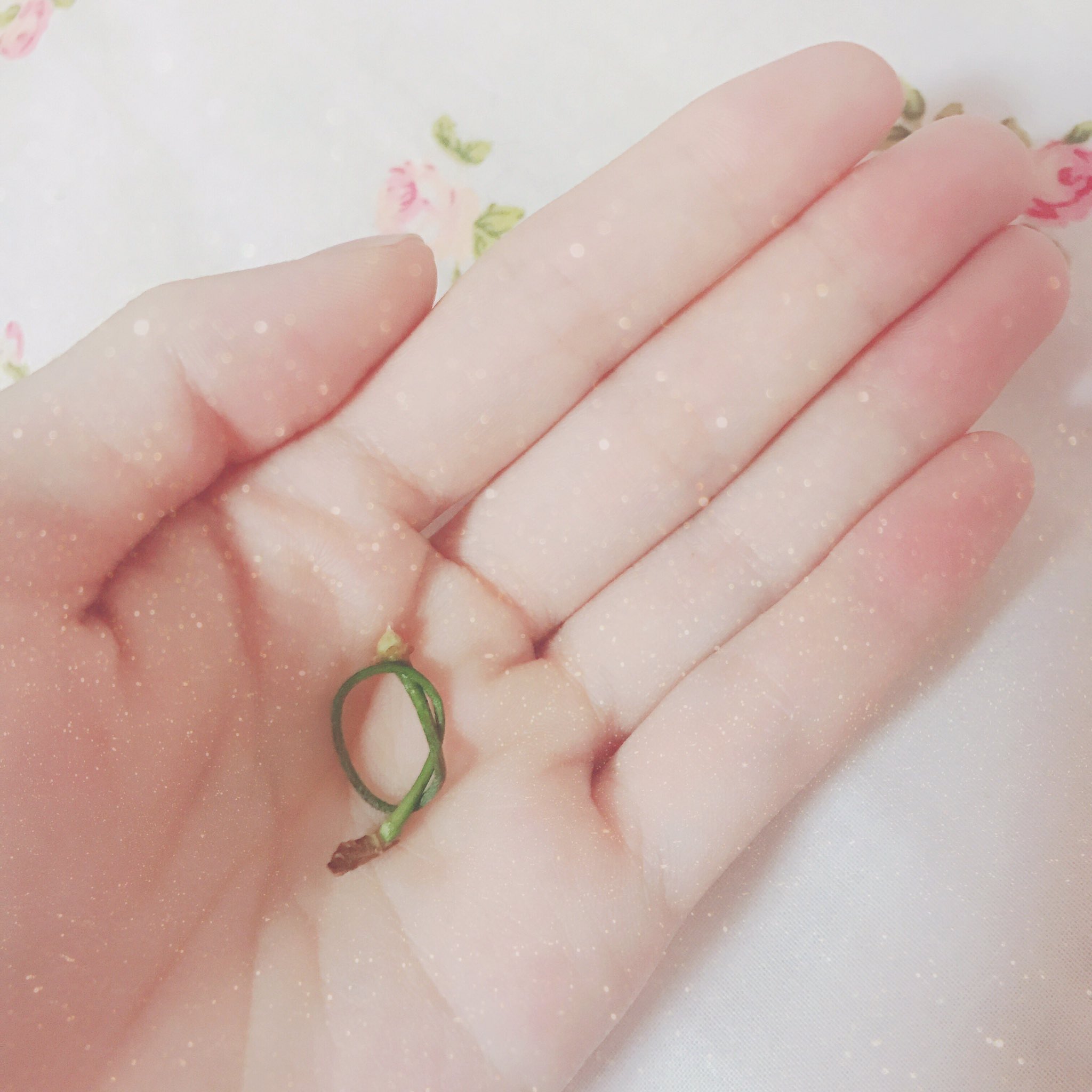 未来千代めね みくちよめね V Twitter おはよう४ ପ ᴗ ੭ めねの朝のニュース お伝えします ୨୧ 今朝未明に 未来千代めねが口でさくらんぼのヘタを結ぶことに初めて成功するという事件が発生しました やっとできるようになったの 褒めて