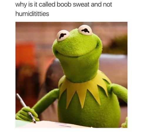 *snorts* humidititties