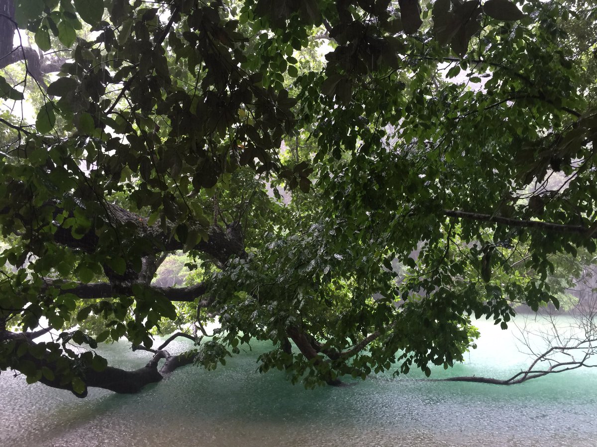 TadianToGo's tweet photo. #puertoprincesa #cave in #Palawan #Philippines!RETWEET
#travel #wanderlust #ecotourism #beach #summerbody #Pinoytweets #wealthINnature #trek https://t.co/IbJF1DBkr6