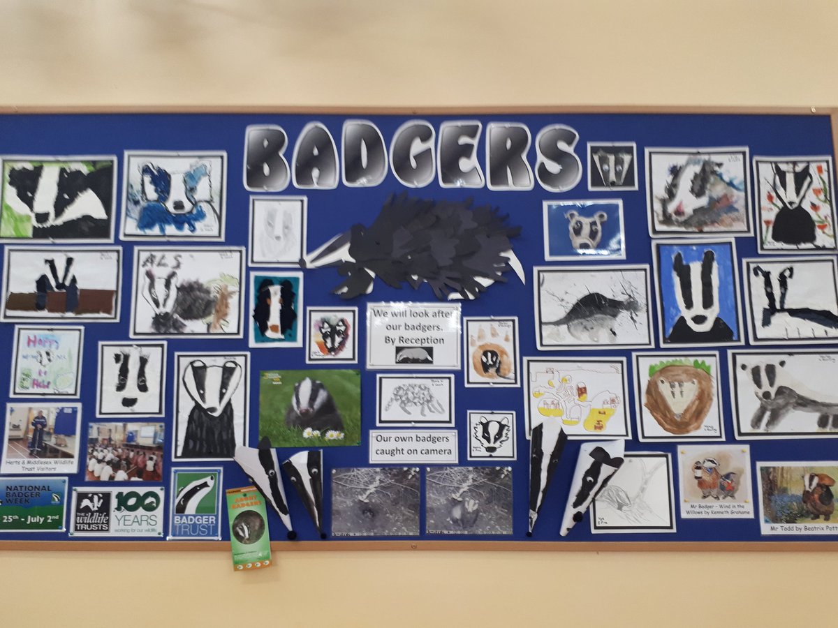 Emma5Hills's tweet photo. A culmination of our artwork @AbbotsPrimary for @Nbadgerweek @HMWTBadger @BBCSpringwatch @AnneatSaveMe @wildlifewatch @WoodlandTrust https://t.co/x7OEnTPAol