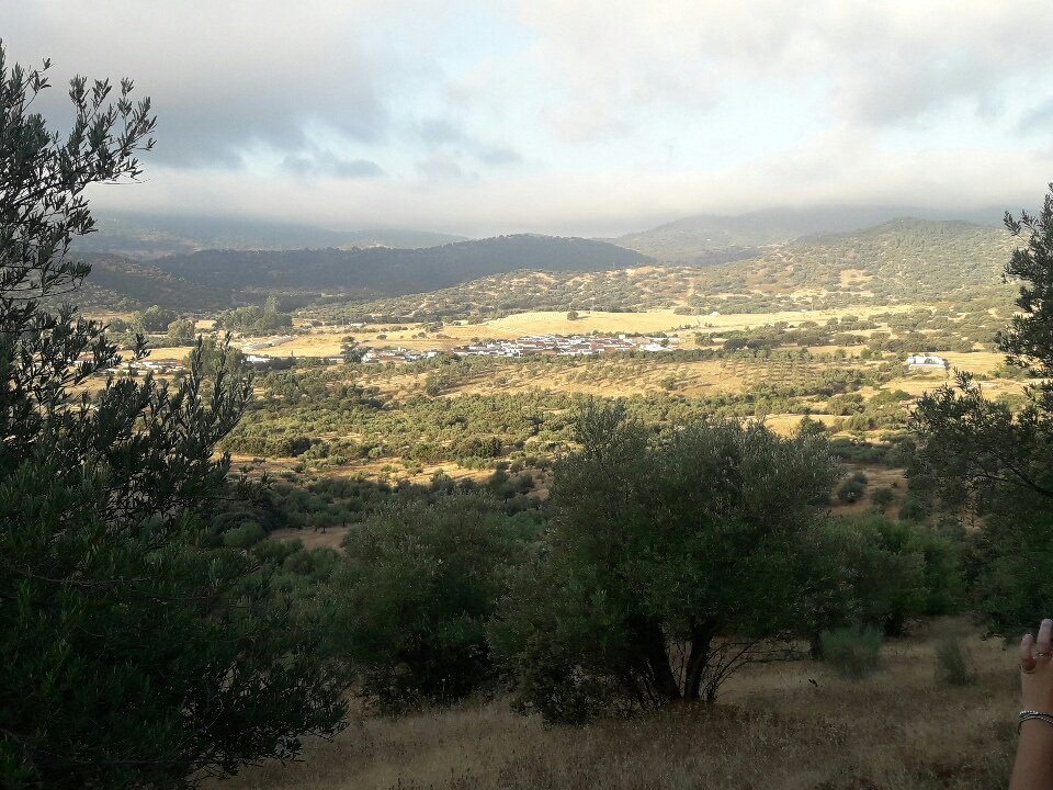 asociacionaphae's tweet photo. 2 día de prospección. ¡Saludos desde las alturas! https://t.co/9TFdP1w6ag