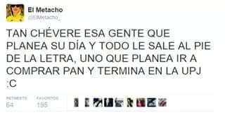 InsectoJ's tweet image. 