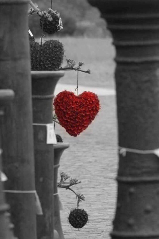hhhtjm's tweet photo. #لو_نتبادل_القلوب
يبقى الأوفياء وقلوبهم  هم السند لمسيرة الحياة  ويبقى وجودهم ووصالهم هو الزاد الذي لا يمكن الاستغناء عنه ... https://t.co/4G08CFQafO