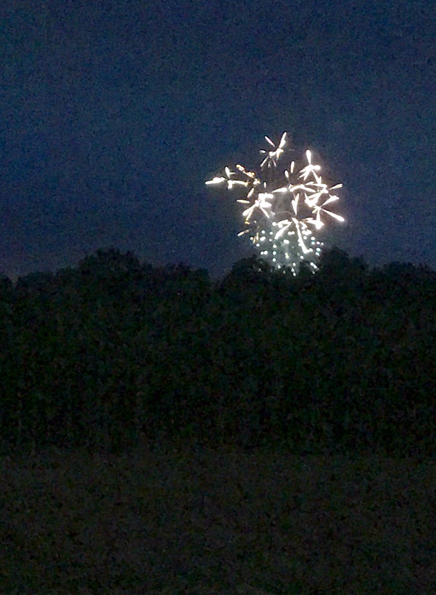 ZwartblesIE's tweet photo. Standing at field edge of maze, fireflies flash floating amongst tall leafy stems, while distant fireworks pop illuminating horizon #July4th https://t.co/zvL4dSLain
