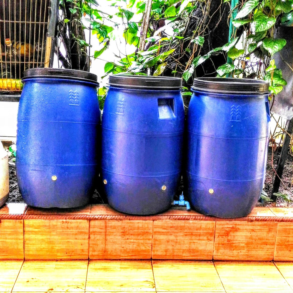 composter6657's tweet image. 