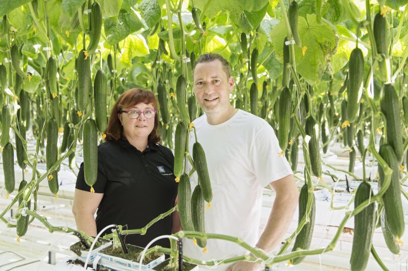 yara_australia's tweet image. In less than a week Yara expert agronomists will be attending the #ProtectedCropping AU Conference in Adelaide - bit.ly/2tfa5in