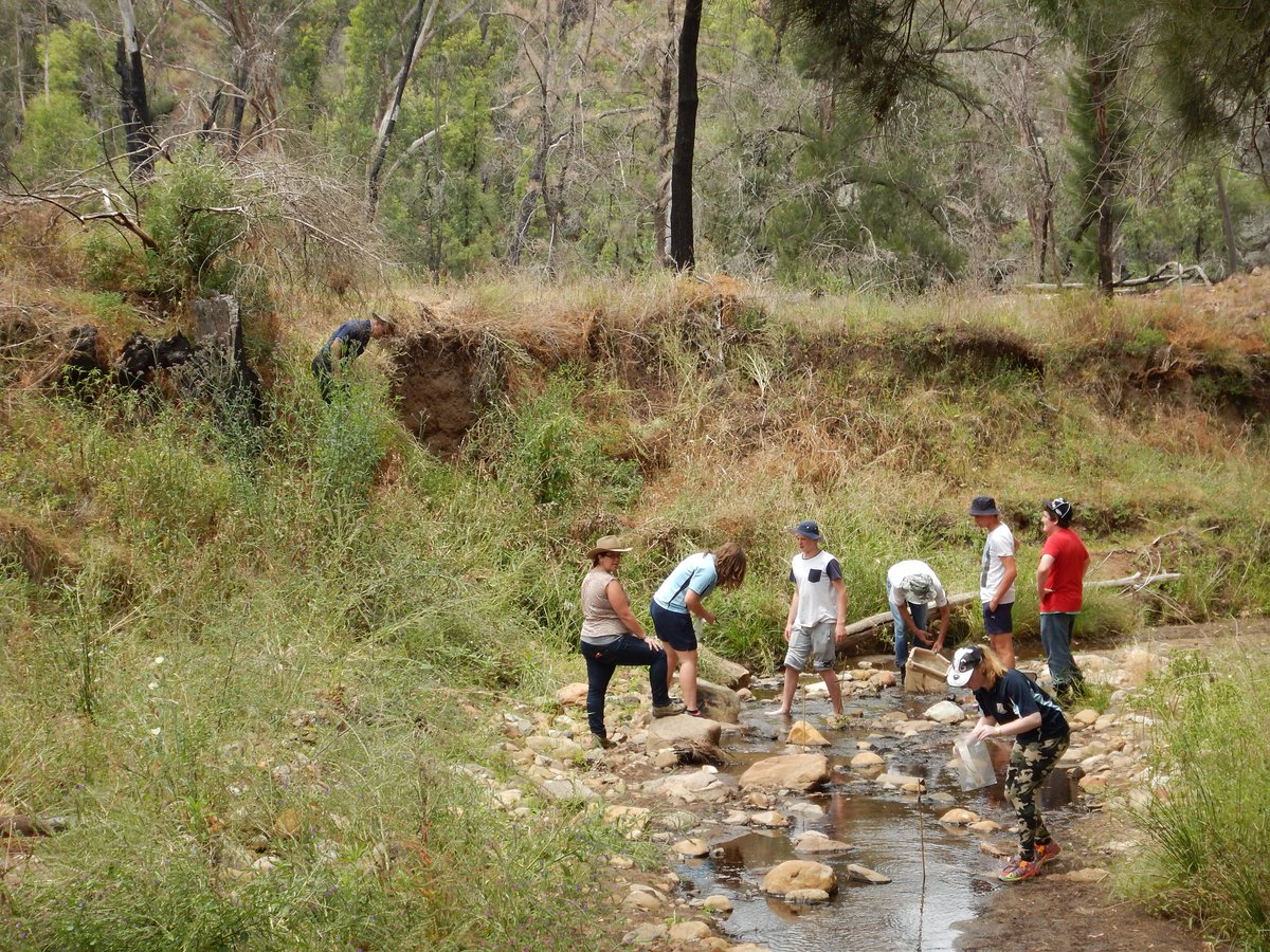 nswdcceew's tweet photo. Calling #ecologists passionate about inspiring the next gen! Applications open for 2017 #OutstandingOutreachAward: https://t.co/zQPGgOENlI https://t.co/TITFa9mVVc