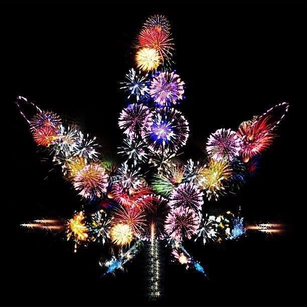 BringCannabis's tweet photo. It's that time here in Cali‼️. Let the fireworks begin‼️ https://t.co/rifGVWQttW