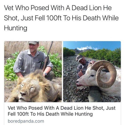 DailyFunny4's tweet photo. im-original: blackness-by-your-side: white people think the… https://t.co/OLdq6afDfe https://t.co/u4Vg7ytaiA