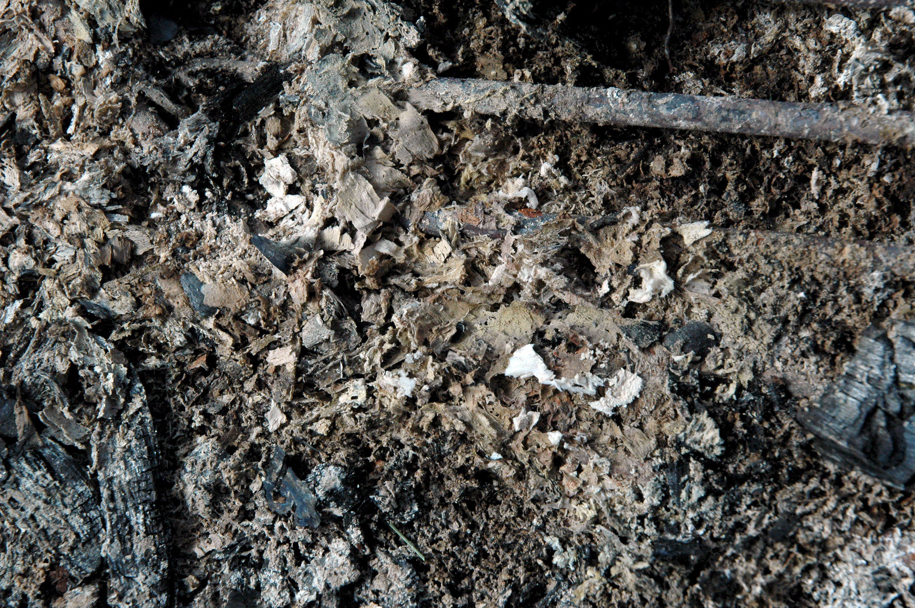 けもないず 3dcg垢 Kemonizemodeler Twitter