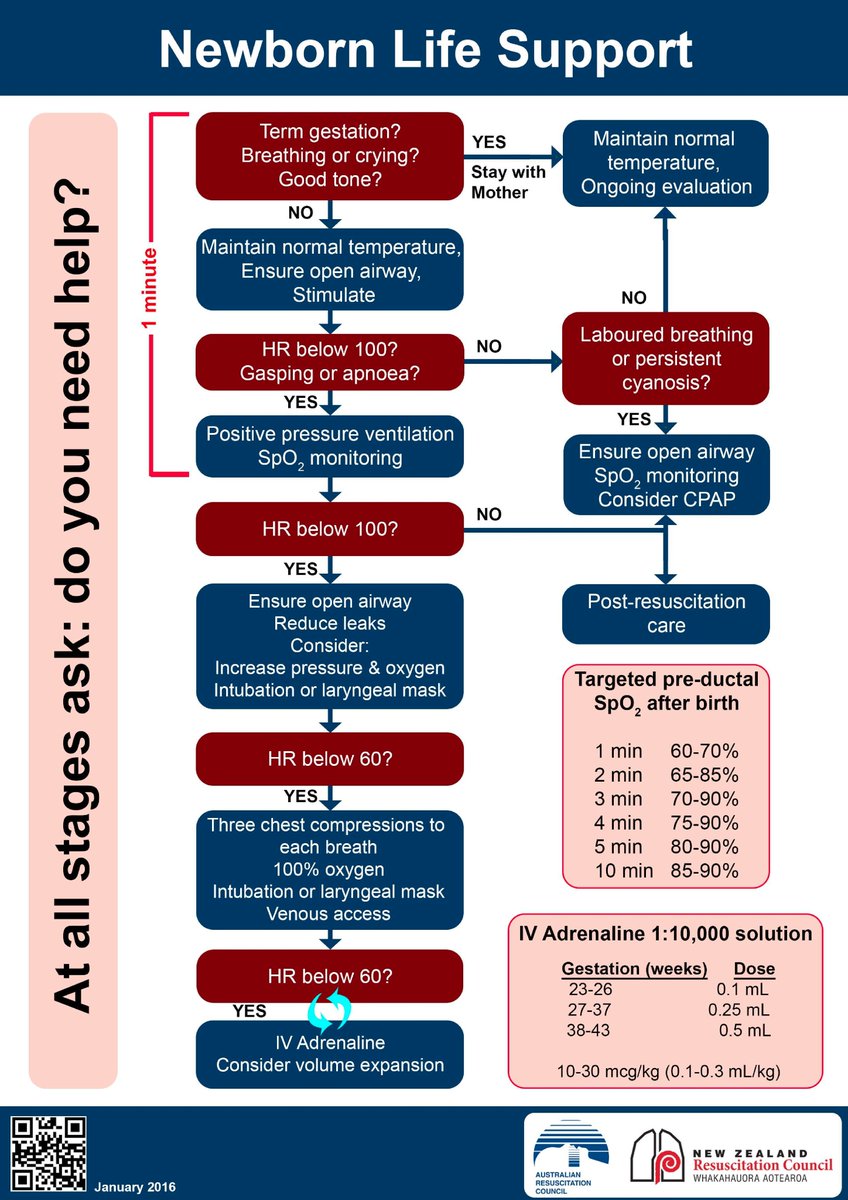 NZ Resus Council on Twitter: "Liley, Mildenhall and Morley: Position paper #Neonatal #Resuscitation 2016. https://t.co/uWh9iwIsd3 #NZResus https://t.co/WEbXuIsE7N" /