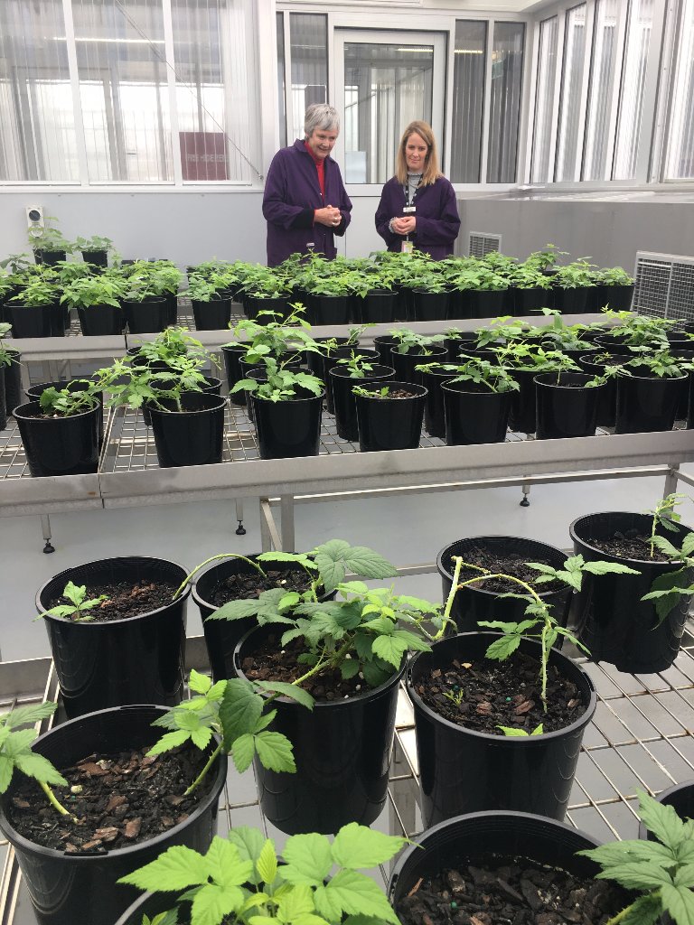 ABC recently visited our PEQ plant compound to look at the different ways we safeguard Aus from pests &amp; diseases | bit.ly/2ufK4y7