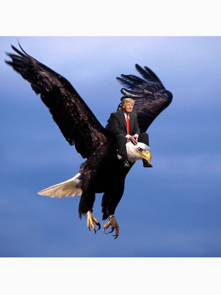 It don\t get much more American than Donald Trump spurring a bald eagle for 90  Happy Birthday America  