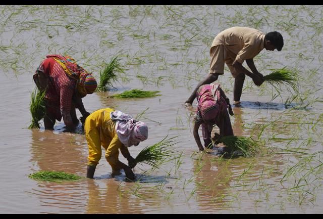 How Artificial Intelligence Could Democratize Financial Services In #Asia #AI #parametric #insurtech #fintech  buff.ly/2sKwSiD