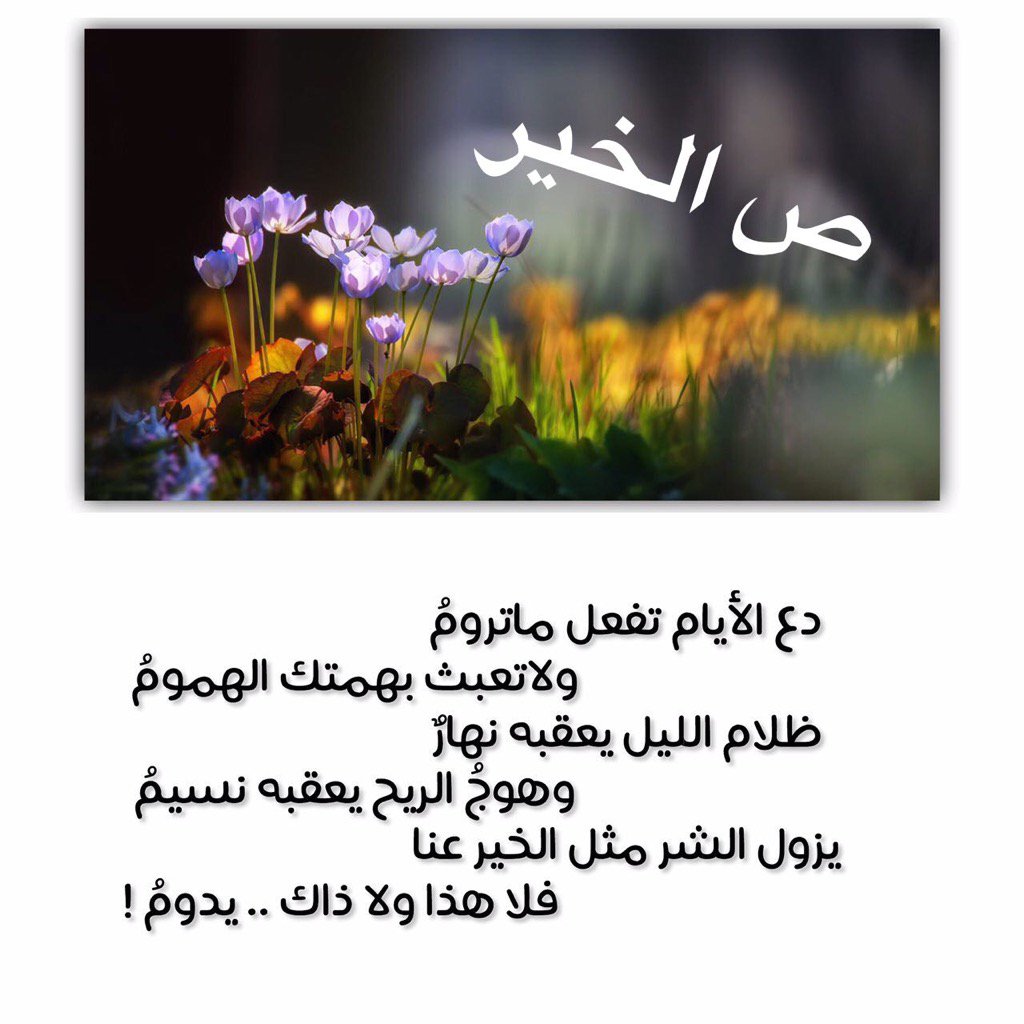 ابومحمد العجمي (@teflatyet) on Twitter photo 