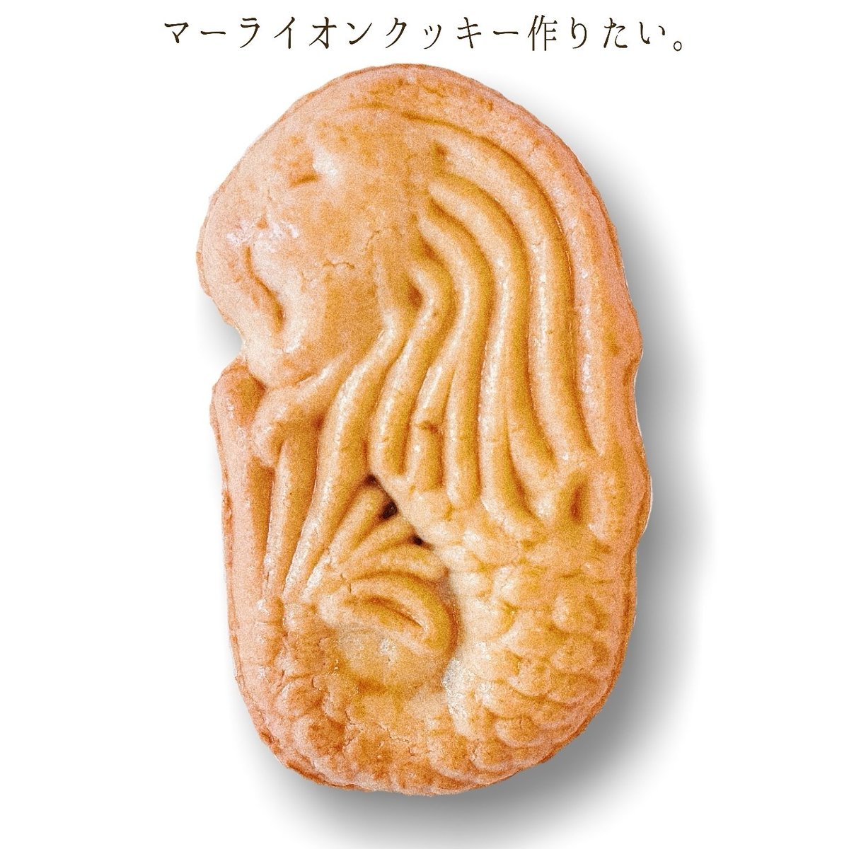 服を着る 申し込む チラチラする マー ライオン クッキー アストロラーベ 一般的な 貨物
