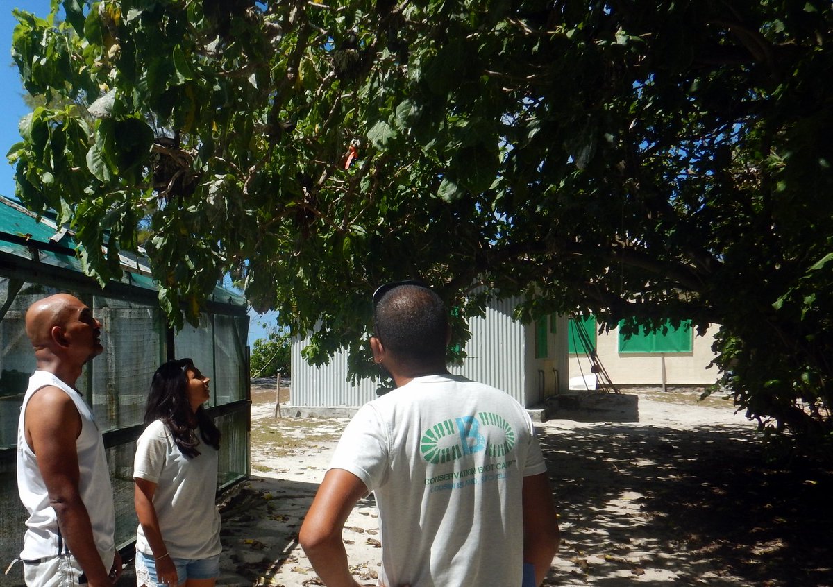 NatureSey's tweet image. #ConservationBootCamp participant Nikita on a one-one-one with @NatureSey CEO. More about this   program here: goo.gl/8XDIZh