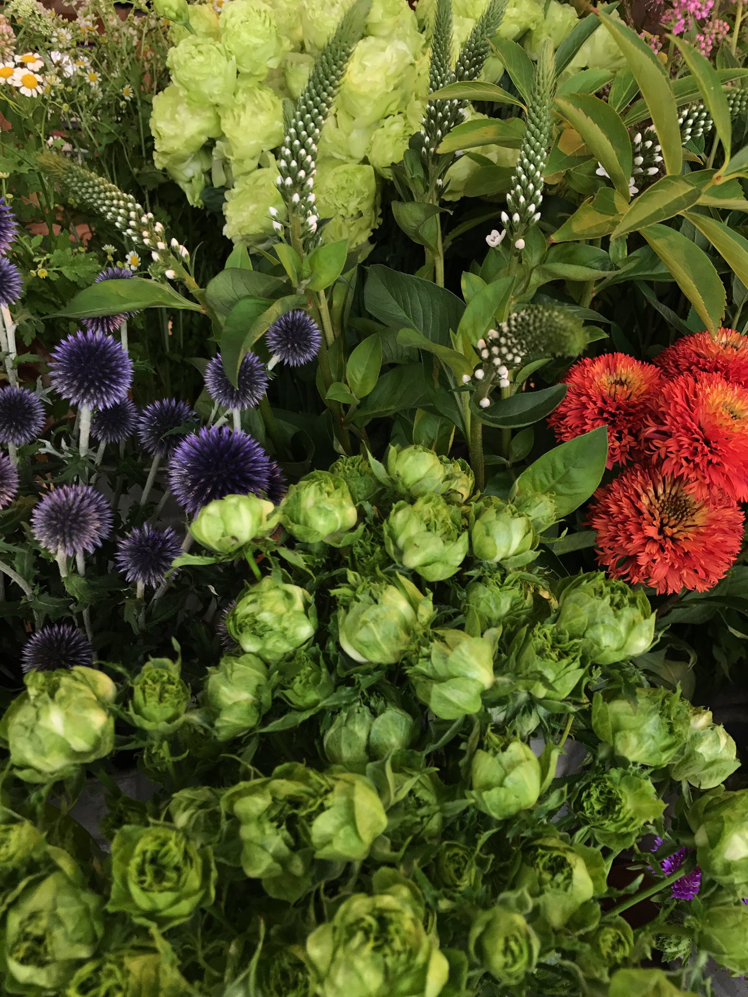 Noon Flos Flower Shop Floral Design こんにちは 横須賀市久里浜の花屋ヌーンフロスです 本日もお花好きの皆様のご来店をお待ちしております 花屋 花 Noon Flos Flower Shop Floral Design こんにちは 横須賀市久里浜の花屋ヌーンフロスです 本日もお花好きの皆様のご来店をお待ちしております 花屋 花