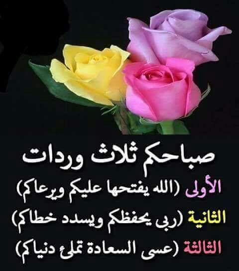 عبد العزيز الحربي (@ozozozo0026) on Twitter photo 