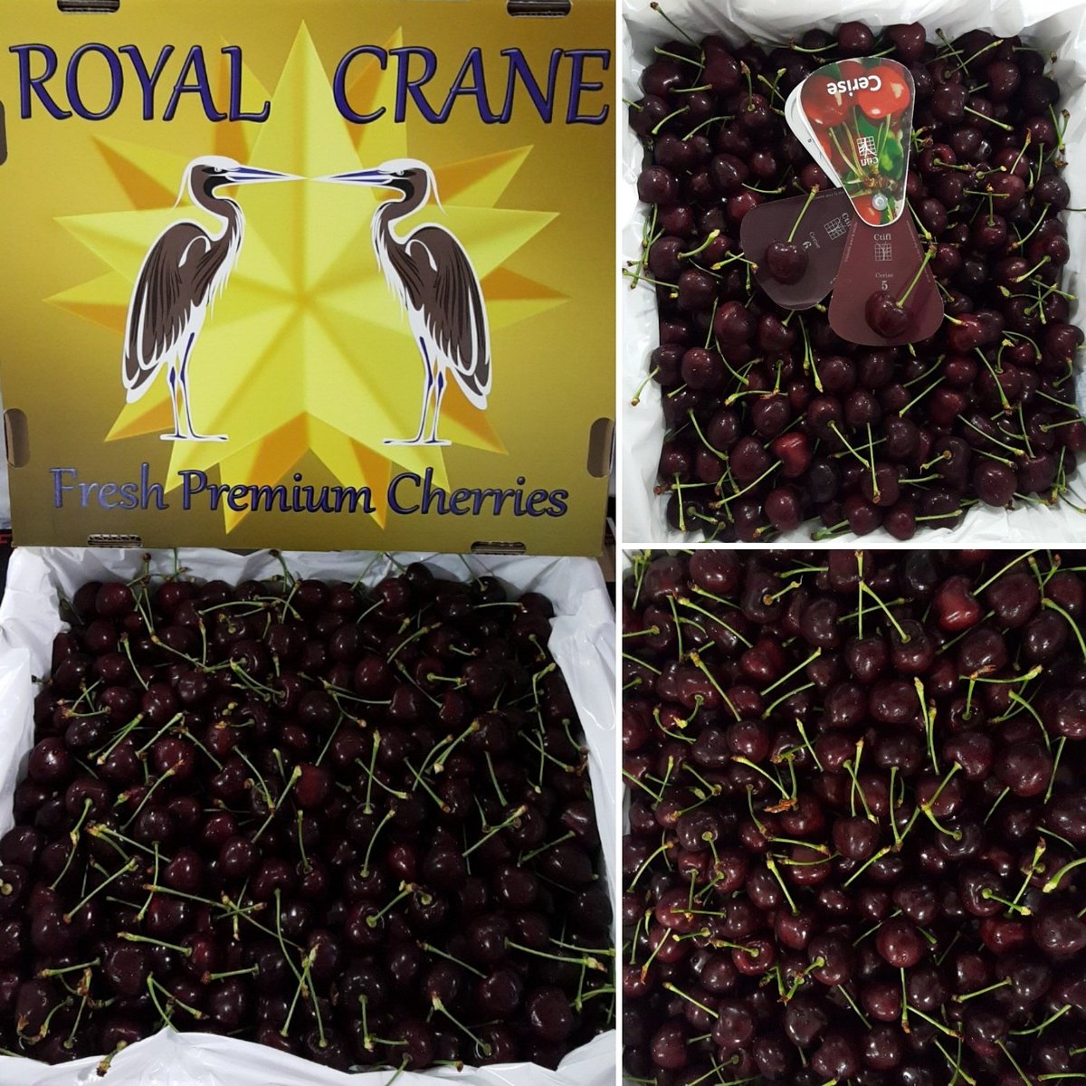 Packing Canadian satin cherries! Nice dark colour 5-6, brix 18 and 325 firmtech 
#canadian #bc #cherries