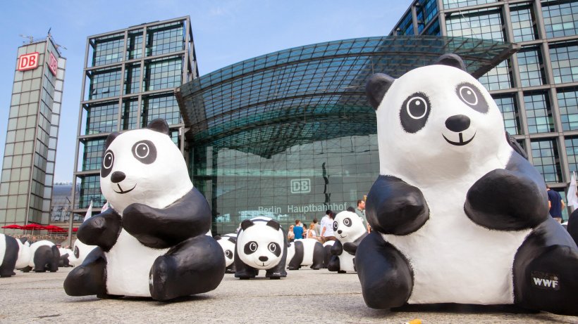 MvMauch's tweet image. #Berlin: #Airbus verkauft 140 Flugzeuge mit einem Gesamtwert von 22,8 Mrd. USD nach #China. Da haben sich die #Pandabären aber gelohnt!