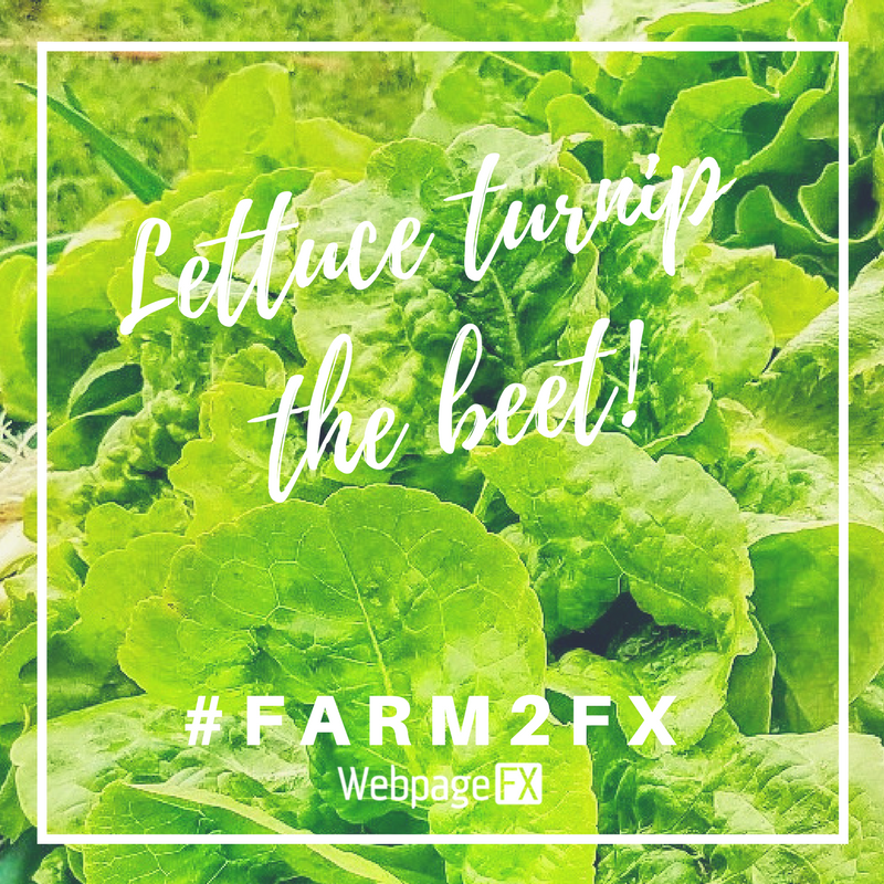 HappinessFX's tweet photo. It's Wednesday & that can only mean 1 thing...today is #Farm2FX delivery day! What will you snag from this week's Brew Barn Farms harvest? https://t.co/IcyzehfsfW