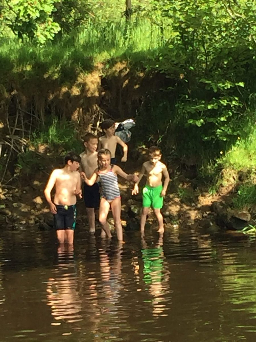 Rock Apes tweet media