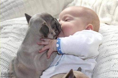 VetSelectDog's tweet photo. #LoënChildren | Un peu de douceur en ce mercredi, jour des enfants ... https://t.co/jVW4OkAYmw