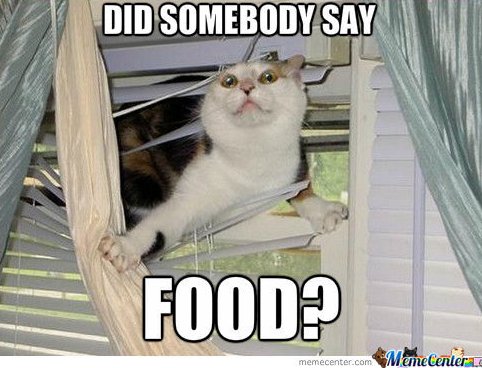 LayItOutEvents's tweet photo. We've got over 15 different #food #vendors at #Summerfest! That means plenty of #yummy options for you and your #belly! #LIOE https://t.co/nGMtFqLdNy