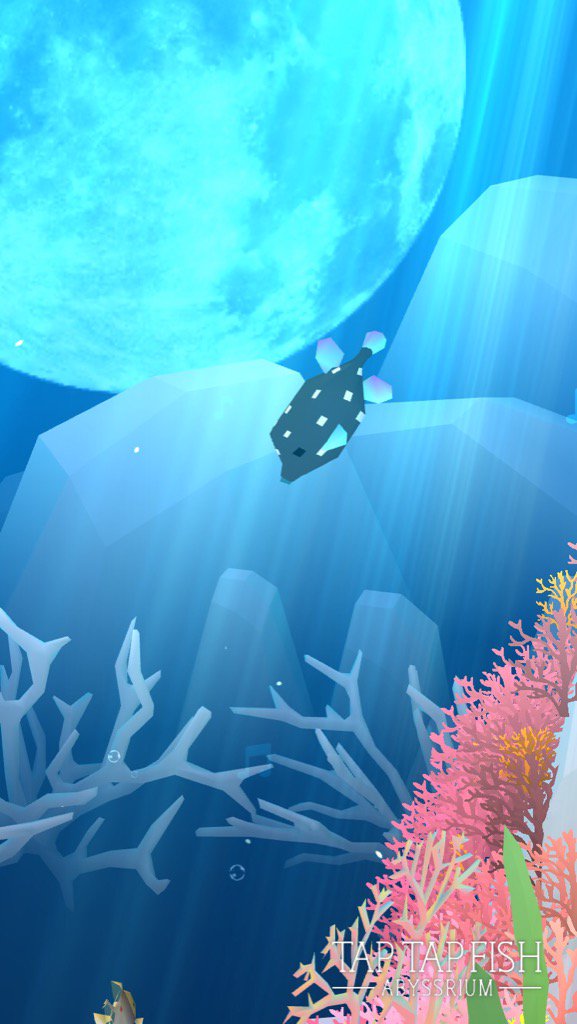 RobinCheyenne37's tweet photo. My Juvenile Spotted Boxfish:) 
#taptapfish
Download: https://t.co/3EgkB9DvPU https://t.co/ymJnLMJqdK