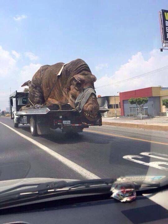 CauseWereGuys's tweet photo. Please say no to animal cruelty. This just rips my heart.. https://t.co/DbJzlBZSij